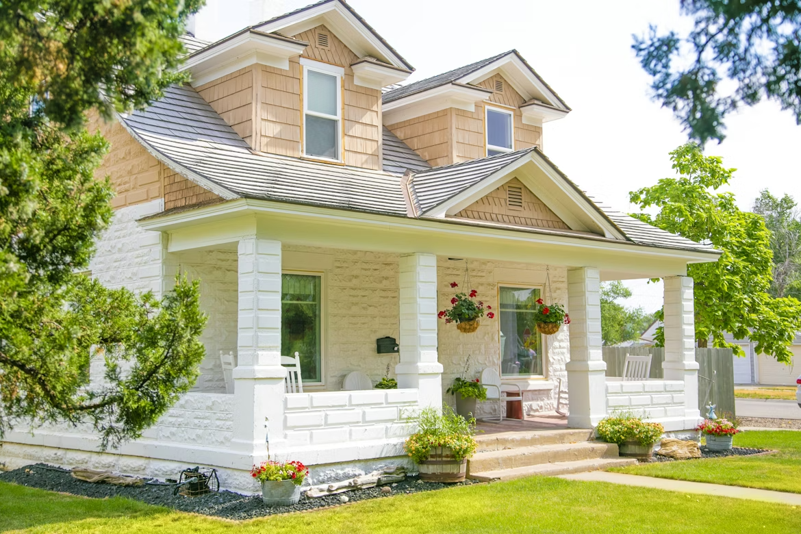 termite and pest inpections | houston professional home inspections